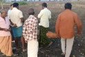 মায়ের রক্তাক্ত-নিথর দেহ আঁকড়ে ধরে কাঁদছিল দেড় বছরের শিশু